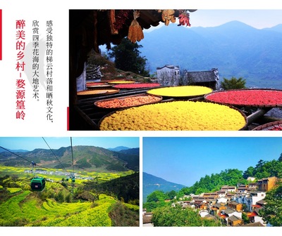 【当地参团】黄山+千岛湖+婺源篁岭+宏村纯玩5日游(4晚连住不挪窝! 纯玩无购物! )