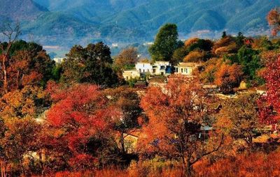 福利 | 黄山这7家大牌景区免门票啦!