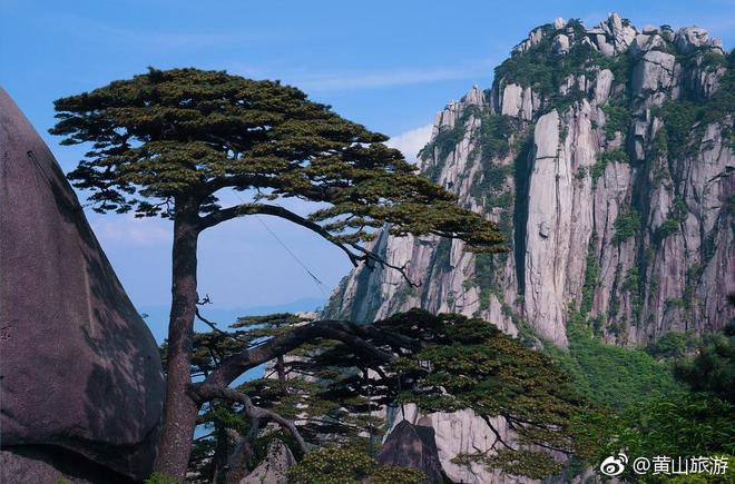 多地旅游景点推出门票减免优惠政策,旅行社跟团产品降价二至三成