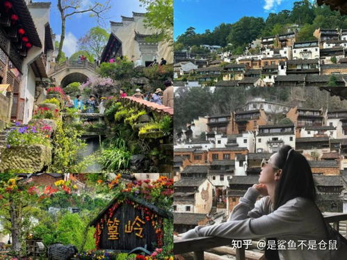 黄山旅游攻略分享 路线要怎么安排 怎么玩的省心省力还省钱 超省心的黄山自由行攻略