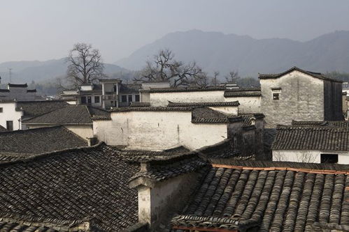 宏村仿佛就来自中国水墨画,白墙黛瓦很有气质,毕业旅行值得打卡