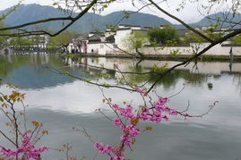 宏村休闲体验2日游 含门票,宿宏村景区客栈