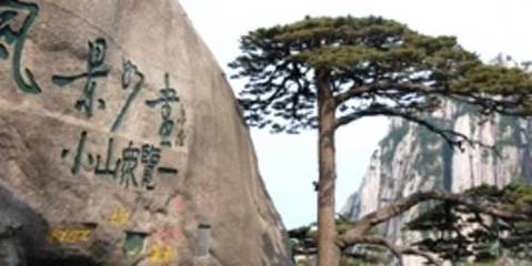 天津到黄山旅游_西递_宏村_双飞四日游