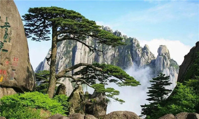 国际知名旅游目的地桥头堡!黄山被写入安徽这项“十四五”重磅规划
