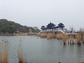 2018年春节北京出发西递宏村 千岛湖 绍兴 无锡九日自驾游记