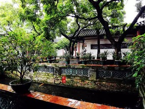 世界工厂的东莞也能文艺清新范 这10处小众旅游地靓爆了