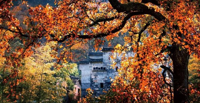 醉美218旅游攻略、塔川赏秋,玩转西递、宏村!