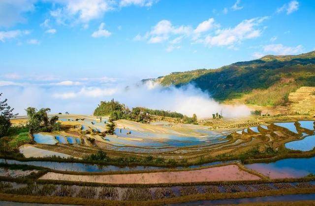 春回大地鸟儿飞 这个季节去哪里旅游最为合适?