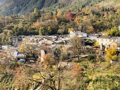 【皖南秋色】观协里-塔川秋色-奇墅晨雾日出,品水墨宏村(夜游+日游),遍地徽菊,登黄山观天下,经典2日游(可选:休闲A线-品宏村徽州文化;运动B线-登黄山观天下)