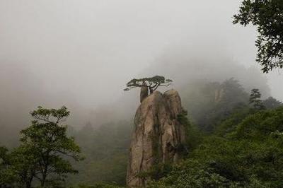 武汉到宏村、黄山、新安江山水画廊4天3晚日游,大美黄山、水墨宏村、新安江山水画廊4日双高跟团游([清凉黄山]赠送大型山水实景演出,全程无购物)-驴妈妈