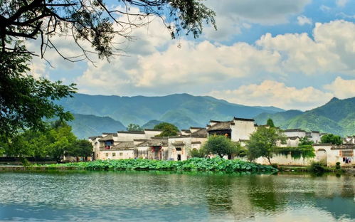 来安徽旅游,记得到这些地方打卡