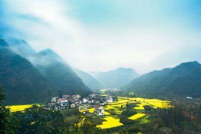 石台大山村旅游景点攻略推荐,这里被称为“中国富硒第一村”
