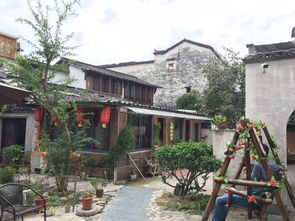 带上宝贝,来一场说走就走的旅行,记宏村婺源
