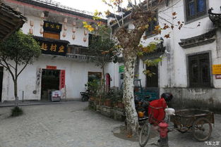 黄山自驾游之 宏村 五