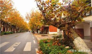 自驾推荐:东黄山城堡酒店+宏村风景区休闲2日游
