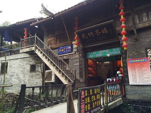 一场说走就走的旅行 婺源 宏村自驾5日游