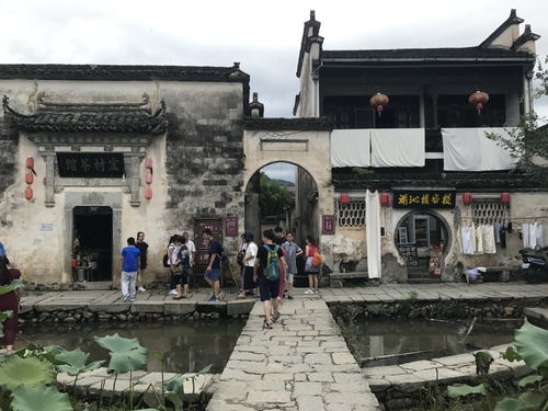 北京 杭州 千岛湖 黄山7日游,超详细,图文,攻略,推荐家庭出游