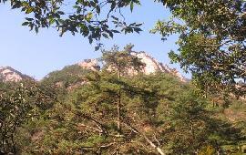 武汉至黄山西递宏村四日游 ---尽情拍摄留念__欣欣旅游网