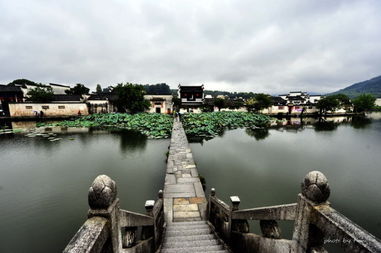 宏村 行走在如画的风景里
