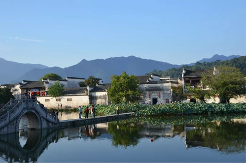 乡村规划设计丨乡村旅游 ,乡村 创意才是王牌
