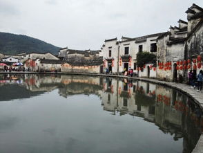 黄山旅游 未与合作方达成一致 宏村项目合作终止