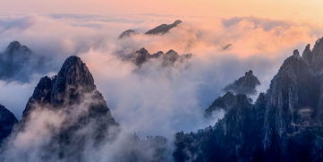 黄山旅游集团携手致远互联