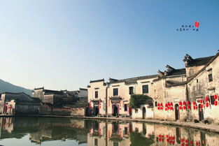 中国a股预言帝 一场报复性的行情不期而遇