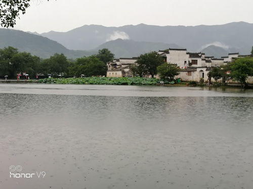 宏村 宏村 宏村 阿菊 亲子套票 一大一小 宏村很好的一次旅游,取票很方便,一 驴妈妈点评